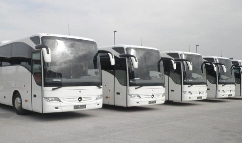 Brandenburg: Bus company in Werder in Werder and Germany