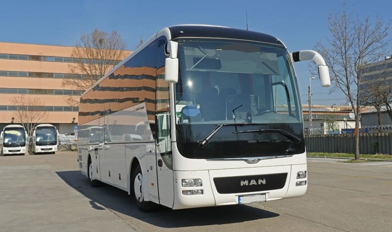 Brandenburg: Buses operator in Falkensee in Falkensee and Germany