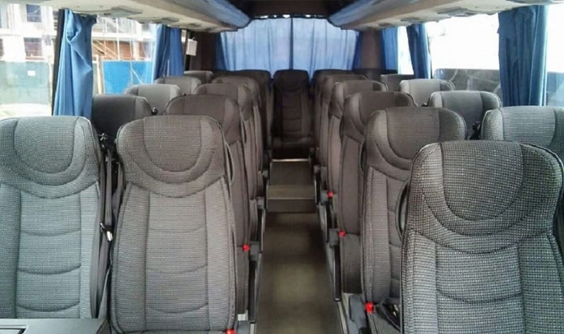 Europe: Coach hire in Germany in Germany and Brandenburg